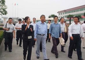 2009年10月8日，全國人大常委會(huì )原副委員長(cháng)許嘉璐視察今世緣。